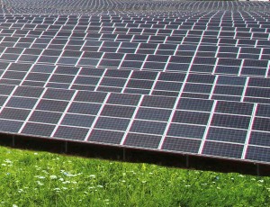 Solar-PV-farm-Installation